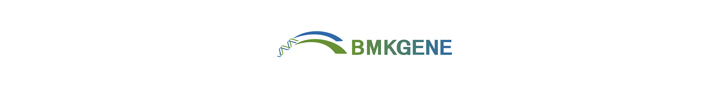 BMKGENE